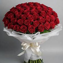 Букет 101 Красная роза Блэк Мэджик в Стрелице