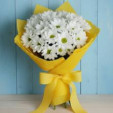 Букет цветов из:  Хризантемы в Стрелице