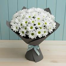 Букет цветов из:  Хризантемы #REPLACE_PRED# Стрелице