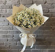 Букет цветов из:  Ромашки в Стрелице