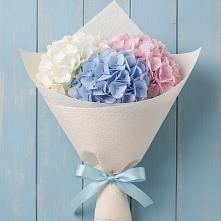 Букет цветов из:  Гортензия в Стрелице