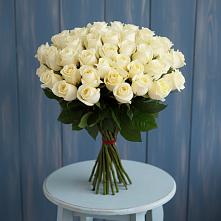 Букет 51 Белая роза Эдлесс Лав #REPLACE_PRED# Стрелице