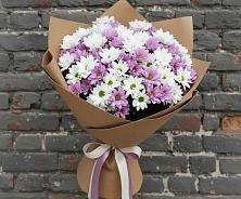 Букет цветов из:  Хризантемы в Стрелице