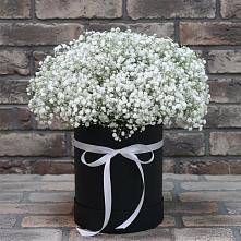 Цветочная композиция из Гипсофила в шляпной коробке в Стрелице