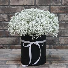 Цветочная композиция из Гипсофила в шляпной коробке в Стрелице