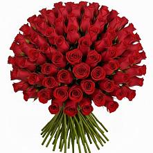 Букет Красные розы Чери Лав в Стрелице