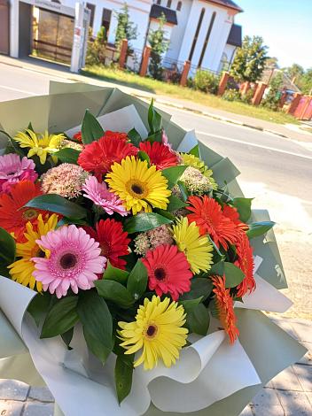 Букет цветов из: Герберы в Стрелице