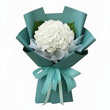 Букет цветов из:  Гортензия в Стрелице
